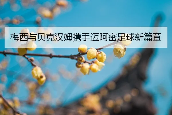 mei-xi-yu-bei-ke-han-mu-xie-shou-mai-a-mi-zu-qiu-xin-pian-zhang-2-311.jpg